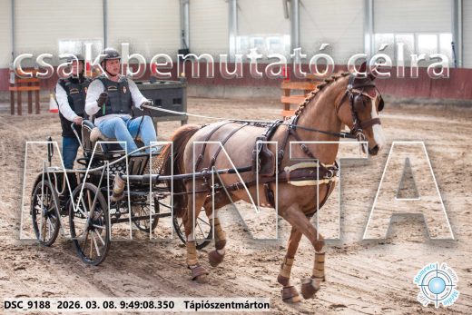 Mintakép 20260308-21