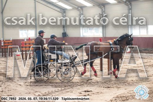 Mintakép 20260307-312