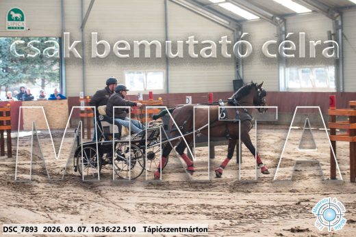 Mintakép 20260307-313