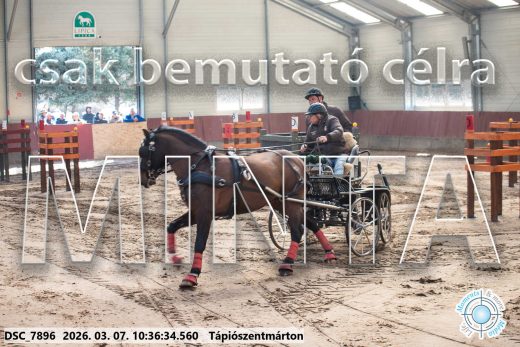 Mintakép 20260307-315