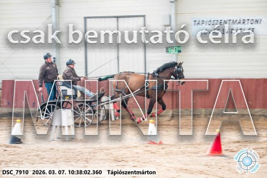 Mintakép 20260307-326