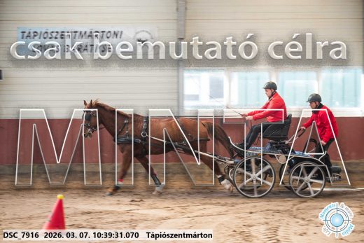Mintakép 20260307-330
