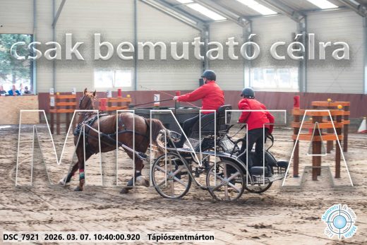 Mintakép 20260307-332