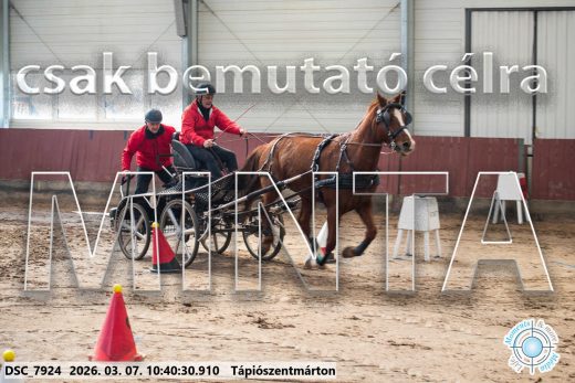 Mintakép 20260307-335