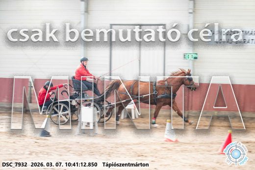 Mintakép 20260307-340