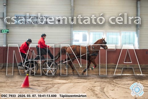 Mintakép 20260307-341