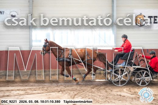 Mintakép 20260308-29
