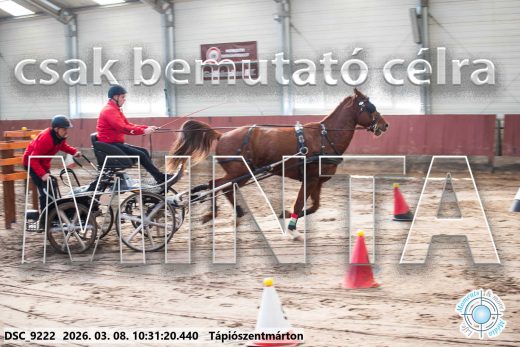 Mintakép 20260308-30