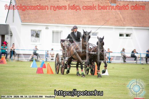 Mintakép 20260614-208