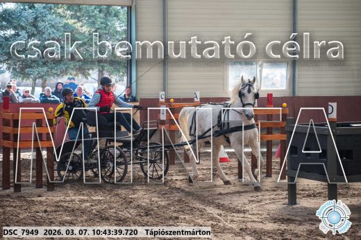 Mintakép 20260307-355