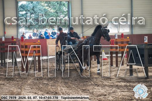 Mintakép 20260307-380