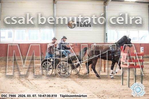 Mintakép 20260307-387