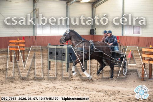 Mintakép 20260307-388