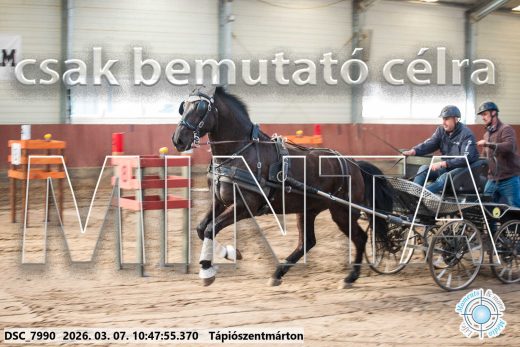 Mintakép 20260307-391