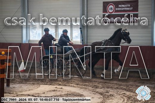 Mintakép 20260307-392