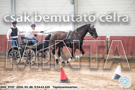 Mintakép 20260308-42