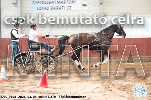 Mintakép 20260308-43