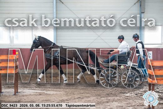 Mintakép 20260308-45