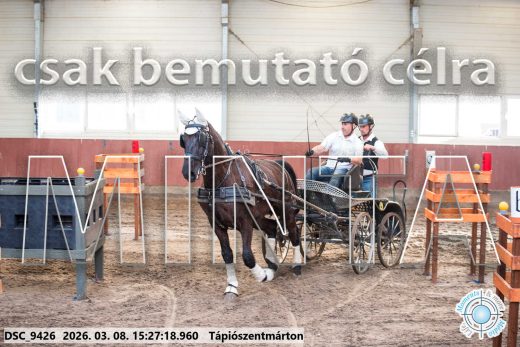 Mintakép 20260308-48