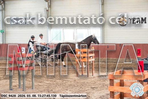 Mintakép 20260308-49