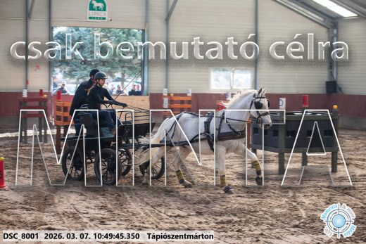 Mintakép 20260307-402