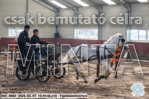 Mintakép 20260307-403