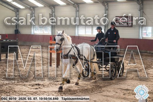 Mintakép 20260307-409