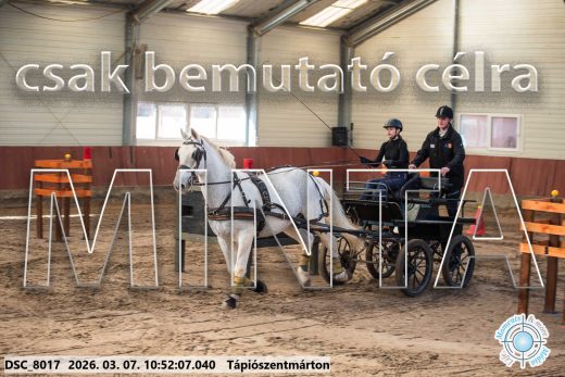 Mintakép 20260307-416