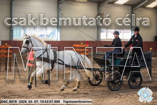 Mintakép 20260307-417