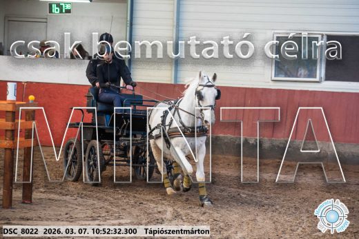 Mintakép 20260307-420