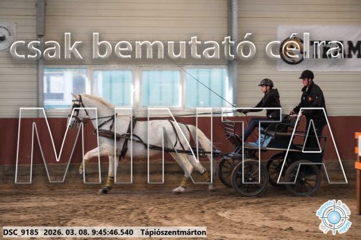 Mintakép 20260308-51