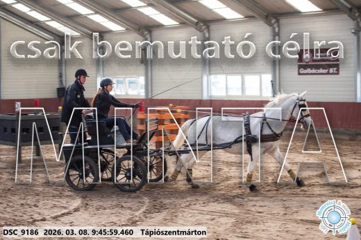Mintakép 20260308-52