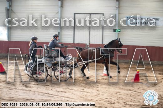Mintakép 20260307-427
