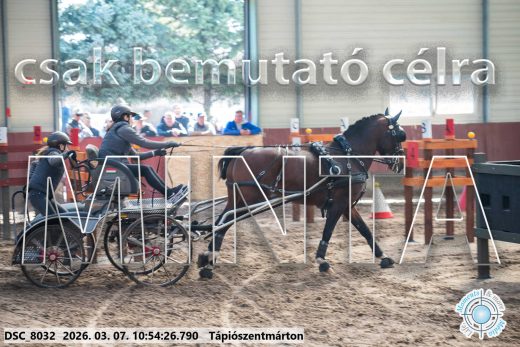 Mintakép 20260307-429