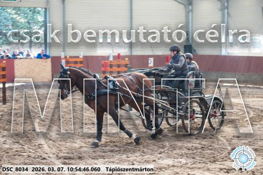 Mintakép 20260307-431