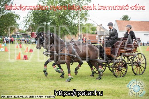 Mintakép 20260614-218