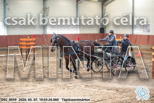 Mintakép 20260307-435