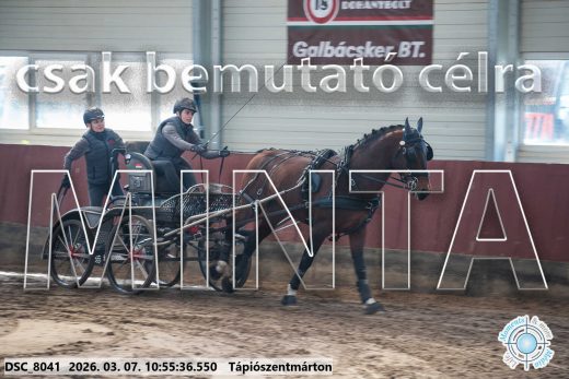 Mintakép 20260307-437