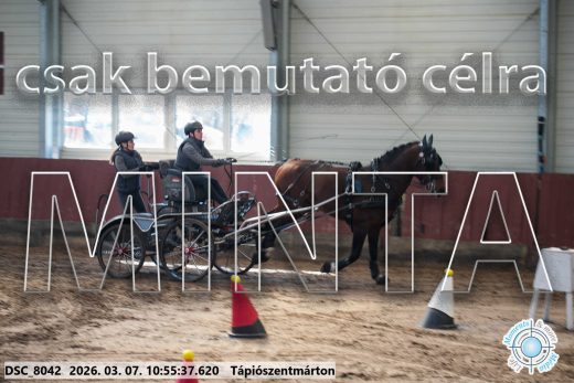 Mintakép 20260307-438