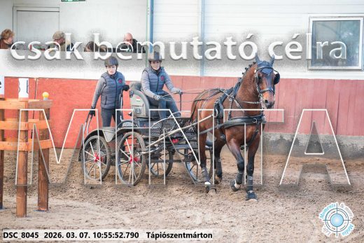 Mintakép 20260307-441