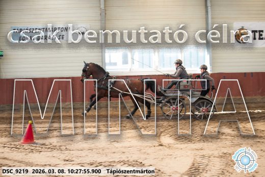Mintakép 20260308-55