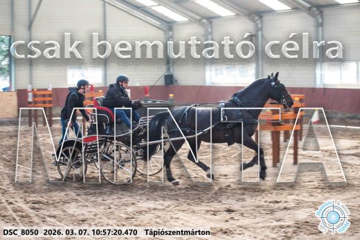 Mintakép 20260307-445
