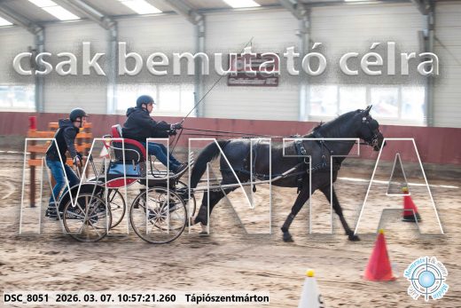 Mintakép 20260307-446