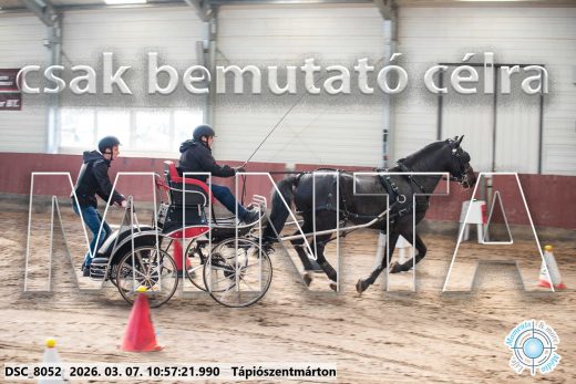 Mintakép 20260307-447