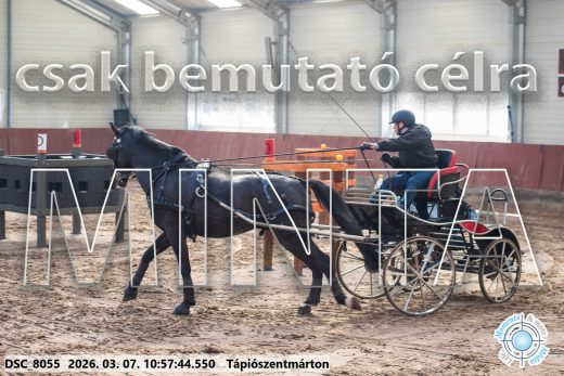 Mintakép 20260307-449