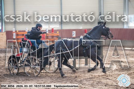 Mintakép 20260307-450