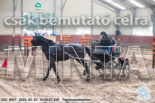 Mintakép 20260307-451