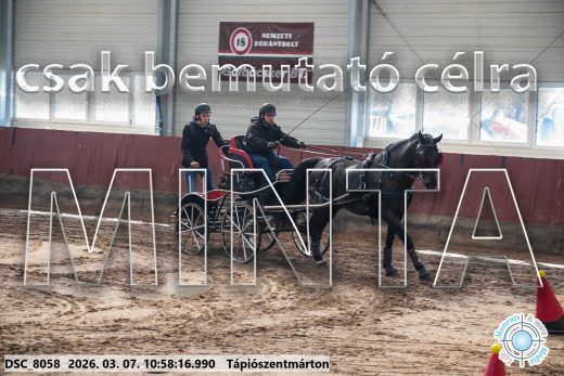 Mintakép 20260307-452