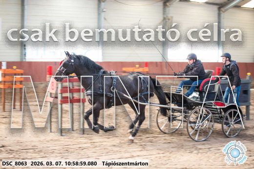 Mintakép 20260307-455