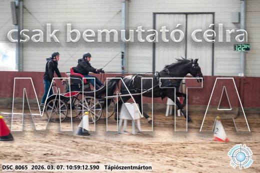 Mintakép 20260307-457